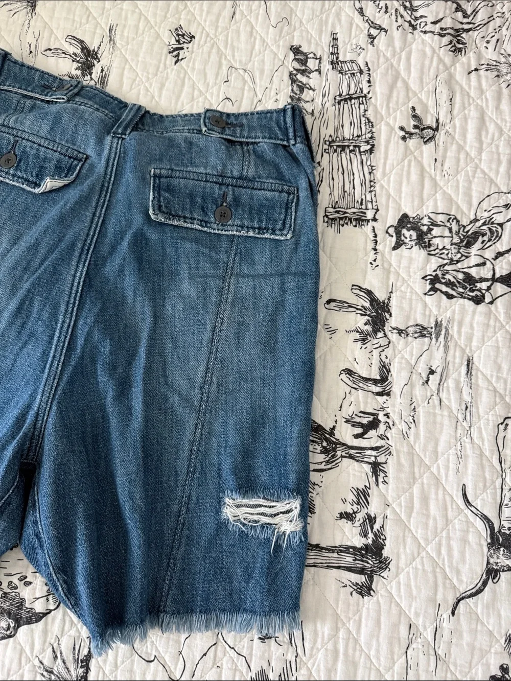 We The Free Blue Denim Shorts